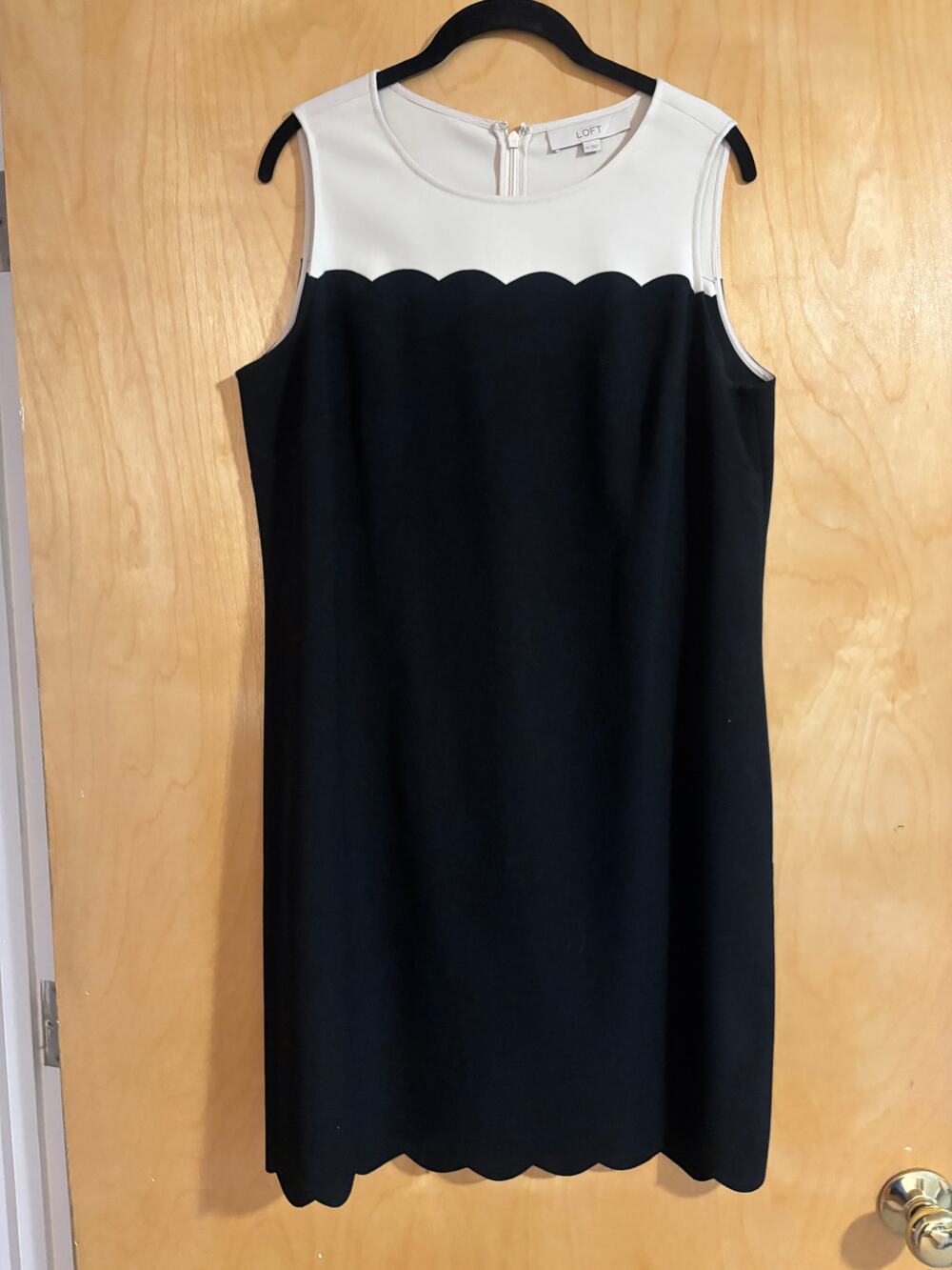 LOFT Colorblock Scallop Shift Dress Black Cream Sleeveless Size 14